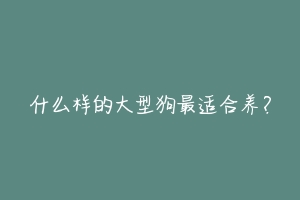 什么样的大型狗最适合养？