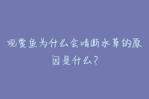 观赏鱼为什么会啃断水草的原因是什么？