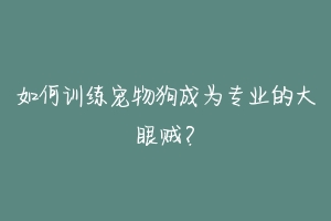 如何训练宠物狗成为专业的大眼贼？