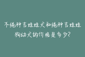 不纯种吉娃娃犬和纯种吉娃娃狗幼犬的价格是多少?