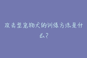 攻击型宠物犬的训练方法是什么？