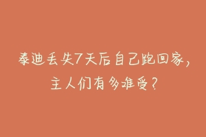 泰迪丢失7天后自己跑回家，主人们有多难受？