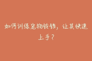 如何训练宠物铃铛，让其快速上手？