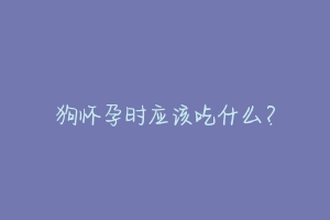 狗怀孕时应该吃什么？