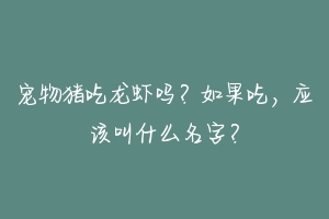 宠物猪吃龙虾吗？如果吃，应该叫什么名字？