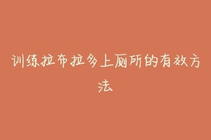 训练拉布拉多上厕所的有效方法