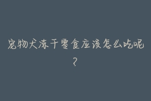 宠物犬冻干零食应该怎么吃呢?