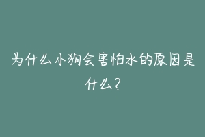 为什么小狗会害怕水的原因是什么？