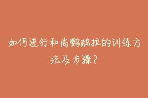 如何进行和尚鹦鹉拉的训练方法及步骤？