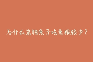 为什么宠物兔子吃兔粮较少？