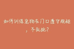 如何训练宠物在门口遵守规矩，不乱跑？