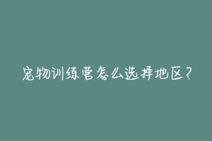 宠物训练营怎么选择地区？