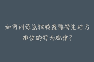 如何训练宠物鸭遵循特定地方排便的行为规律？