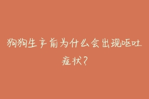 狗狗生产前为什么会出现呕吐症状？