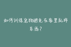 如何训练宠物避免在家里乱拆东西？