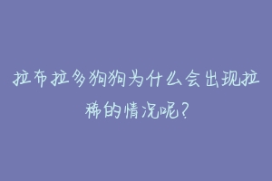 拉布拉多狗狗为什么会出现拉稀的情况呢？