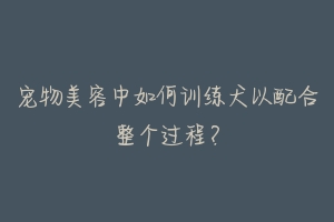 宠物美容中如何训练犬以配合整个过程？