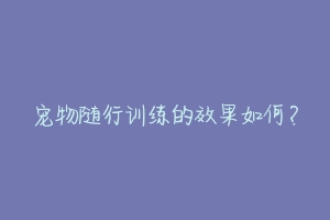 宠物随行训练的效果如何？