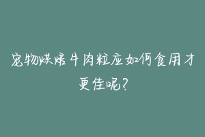 宠物烘焙牛肉粒应如何食用才更佳呢？