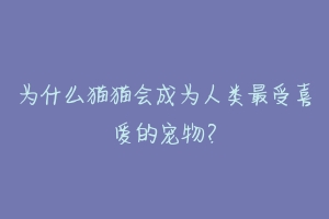 为什么猫猫会成为人类最受喜爱的宠物？