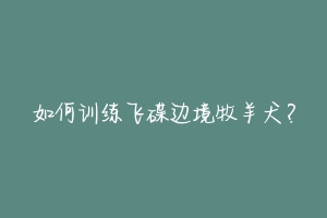 如何训练飞碟边境牧羊犬？