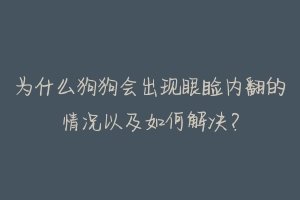 为什么狗狗会出现眼睑内翻的情况以及如何解决？