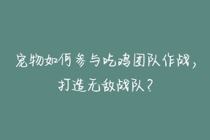 宠物如何参与吃鸡团队作战，打造无敌战队？