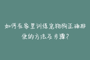 如何在家里训练宠物狗正确排便的方法及步骤？