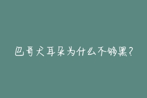 巴哥犬耳朵为什么不够黑？