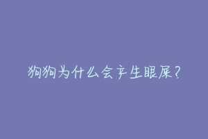 狗狗为什么会产生眼屎？