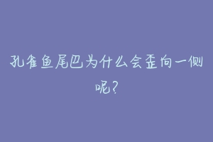 孔雀鱼尾巴为什么会歪向一侧呢？