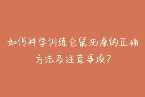 如何科学训练仓鼠洗澡的正确方法及注意事项？