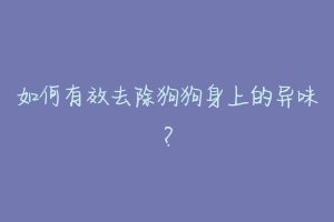 如何有效去除狗狗身上的异味？