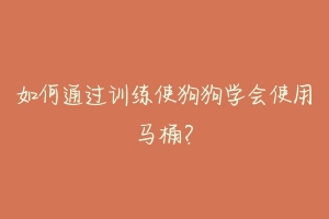 如何通过训练使狗狗学会使用马桶？