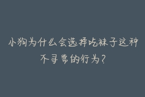 小狗为什么会选择吃袜子这种不寻常的行为？