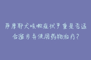 萨摩耶犬咳嗽症状严重是否适合遛步并使用药物治疗？