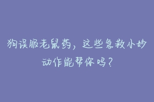 狗误服老鼠药，这些急救小妙动作能帮你吗？