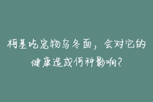 柯基吃宠物乌冬面，会对它的健康造成何种影响？