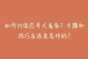 如何训练巴哥犬看家？步骤和技巧应该是怎样的？