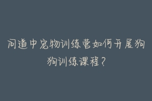 问道中宠物训练营如何开展狗狗训练课程？