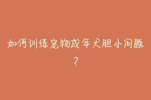 如何训练宠物成年犬胆小问题？