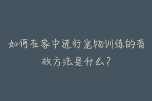 如何在家中进行宠物训练的有效方法是什么？