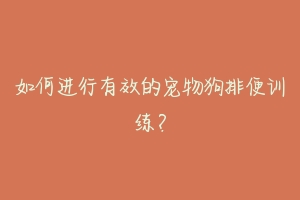 如何进行有效的宠物狗排便训练？