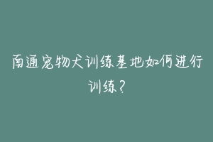 南通宠物犬训练基地如何进行训练？