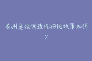 泰州宠物训练机构的效果如何？