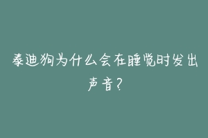 泰迪狗为什么会在睡觉时发出声音？