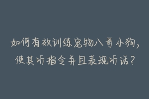 如何有效训练宠物八哥小狗，使其听指令并且表现听话？