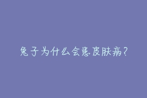 兔子为什么会患皮肤病？