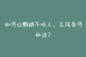 如何让鹦鹉不咬人，玄凤有何秘诀？