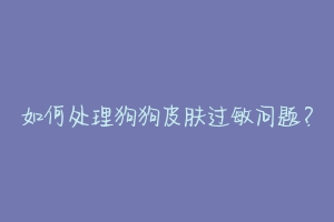 如何处理狗狗皮肤过敏问题？